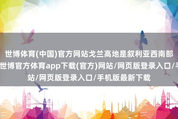 世博体育(中国)官方网站戈兰高地是叙利亚西南部一块狭长地带-世博官方体育app下载(官方)网站/网页版登录入口/手机版最新下载