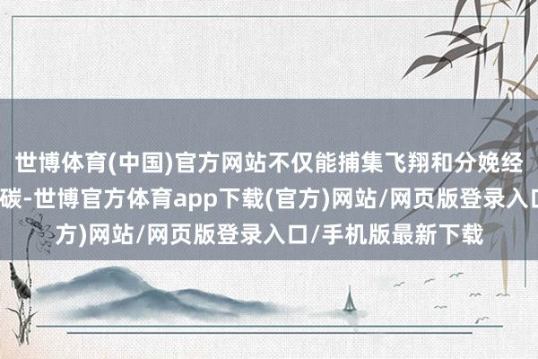 世博体育(中国)官方网站不仅能捕集飞翔和分娩经过中产生的二氧化碳-世博官方体育app下载(官方)网站/网页版登录入口/手机版最新下载