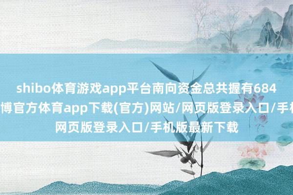 shibo体育游戏app平台南向资金总共握有6845.49亿股-世博官方体育app下载(官方)网站/网页版登录入口/手机版最新下载