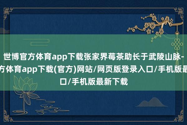 世博官方体育app下载张家界莓茶助长于武陵山脉-世博官方体育app下载(官方)网站/网页版登录入口/手机版最新下载