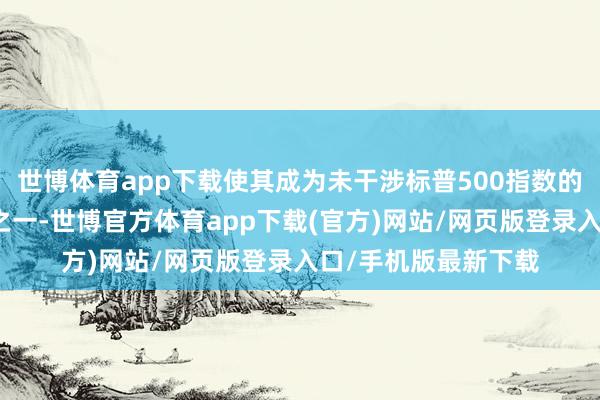 世博体育app下载使其成为未干涉标普500指数的最大好意思国公司之一-世博官方体育app下载(官方)网站/网页版登录入口/手机版最新下载
