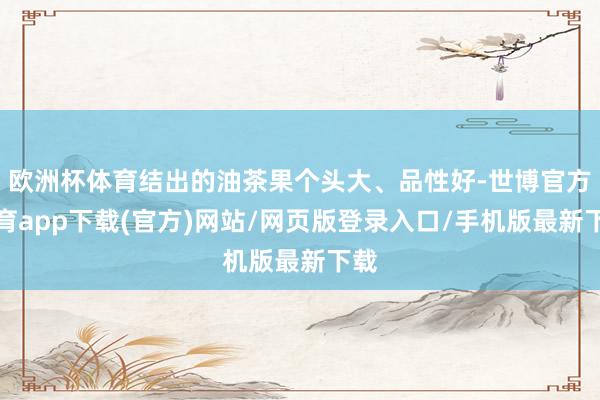 欧洲杯体育结出的油茶果个头大、品性好-世博官方体育app下载(官方)网站/网页版登录入口/手机版最新下载