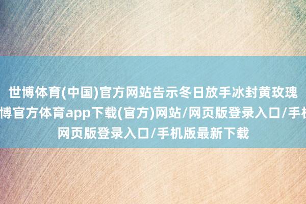 世博体育(中国)官方网站告示冬日放手冰封黄玫瑰崇拜亮相-世博官方体育app下载(官方)网站/网页版登录入口/手机版最新下载