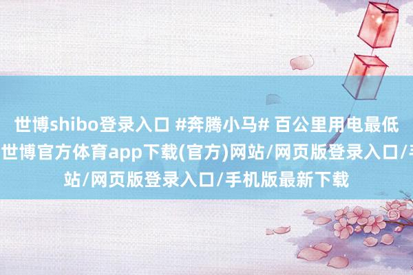 世博shibo登录入口 #奔腾小马# 百公里用电最低仅需8.8Kw-h-世博官方体育app下载(官方)网站/网页版登录入口/手机版最新下载
