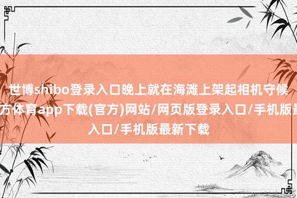 世博shibo登录入口晚上就在海滩上架起相机守候-世博官方体育app下载(官方)网站/网页版登录入口/手机版最新下载