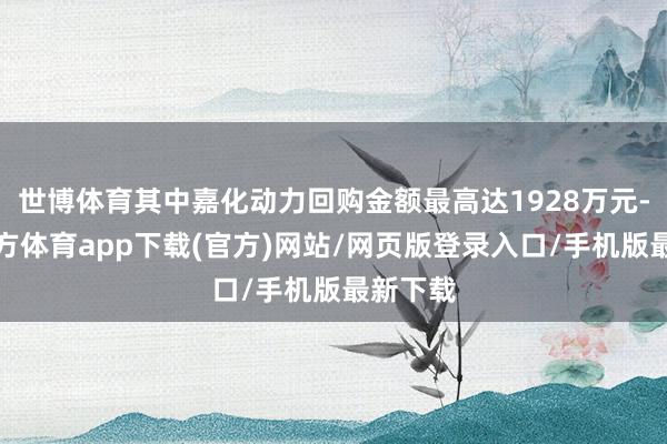 世博体育其中嘉化动力回购金额最高达1928万元-世博官方体育app下载(官方)网站/网页版登录入口/手机版最新下载
