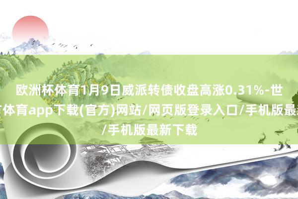 欧洲杯体育1月9日威派转债收盘高涨0.31%-世博官方体育app下载(官方)网站/网页版登录入口/手机版最新下载