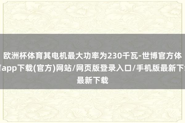 欧洲杯体育其电机最大功率为230千瓦-世博官方体育app下载(官方)网站/网页版登录入口/手机版最新下载