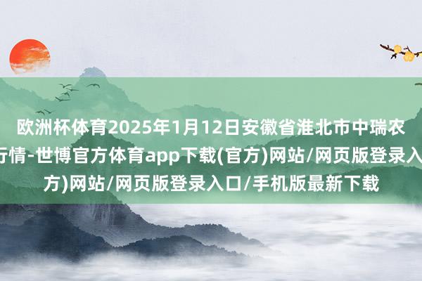 欧洲杯体育2025年1月12日安徽省淮北市中瑞农家具批发阛阓价钱行情-世博官方体育app下载(官方)网站/网页版登录入口/手机版最新下载