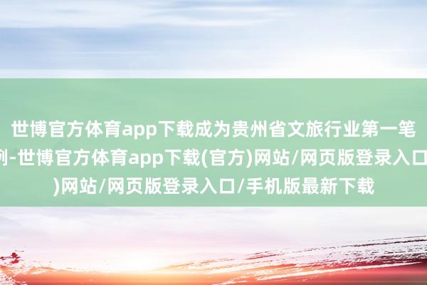 世博官方体育app下载成为贵州省文旅行业第一笔数据钞票入表案例-世博官方体育app下载(官方)网站/网页版登录入口/手机版最新下载