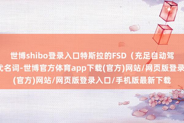 世博shibo登录入口特斯拉的FSD（充足自动驾驶）曾是智能驾驶的代名词-世博官方体育app下载(官方)网站/网页版登录入口/手机版最新下载