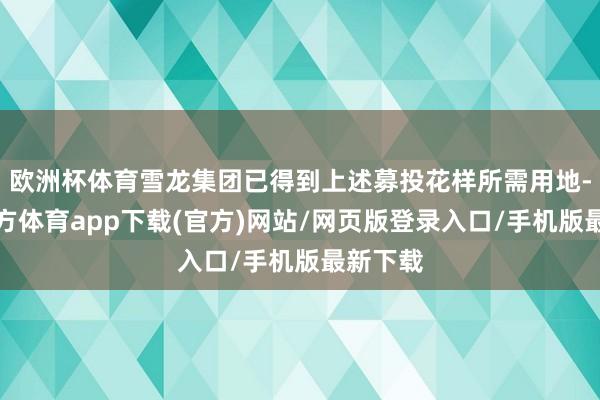 欧洲杯体育雪龙集团已得到上述募投花样所需用地-世博官方体育app下载(官方)网站/网页版登录入口/手机版最新下载