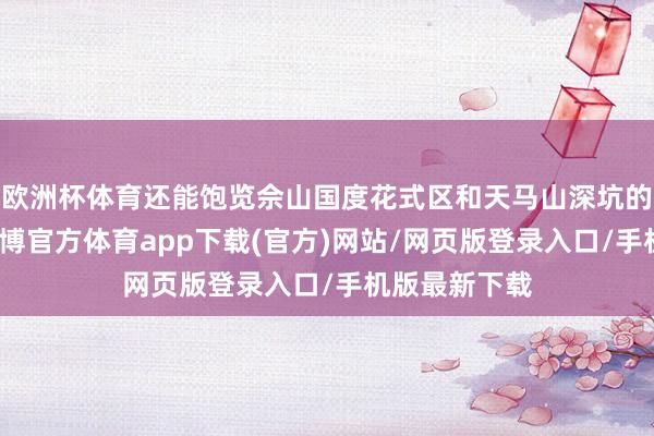 欧洲杯体育还能饱览佘山国度花式区和天马山深坑的壮丽稳定-世博官方体育app下载(官方)网站/网页版登录入口/手机版最新下载