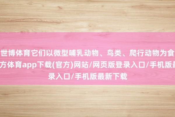 世博体育它们以微型哺乳动物、鸟类、爬行动物为食-世博官方体育app下载(官方)网站/网页版登录入口/手机版最新下载