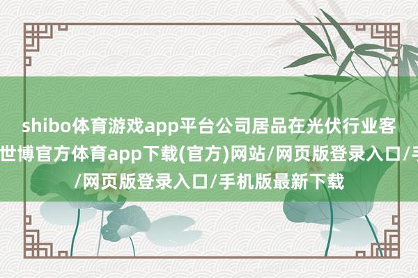 shibo体育游戏app平台公司居品在光伏行业客户的销量下落-世博官方体育app下载(官方)网站/网页版登录入口/手机版最新下载