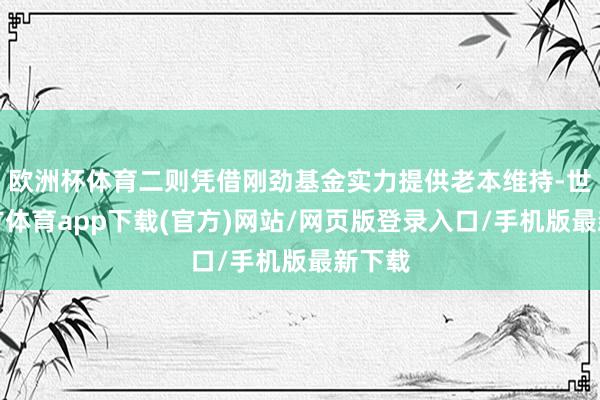 欧洲杯体育二则凭借刚劲基金实力提供老本维持-世博官方体育app下载(官方)网站/网页版登录入口/手机版最新下载