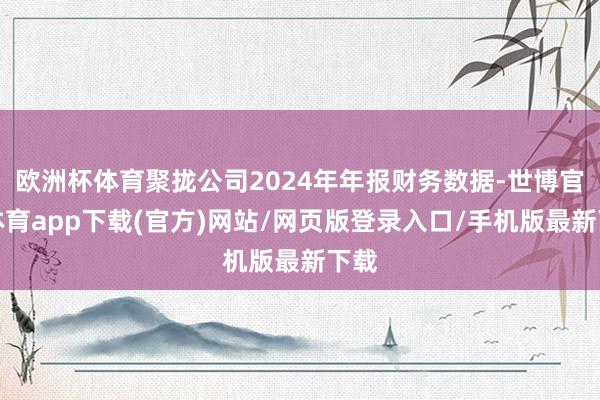 欧洲杯体育聚拢公司2024年年报财务数据-世博官方体育app下载(官方)网站/网页版登录入口/手机版最新下载