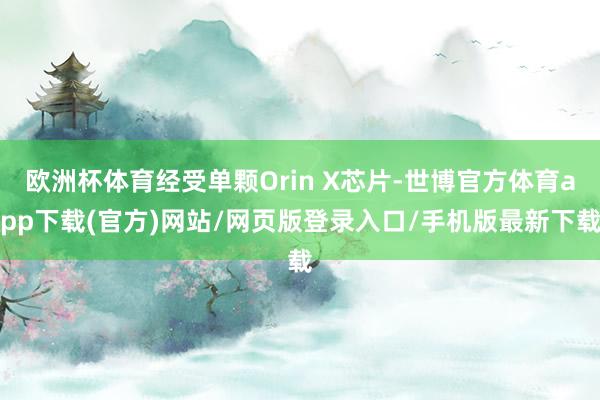 欧洲杯体育经受单颗Orin X芯片-世博官方体育app下载(官方)网站/网页版登录入口/手机版最新下载