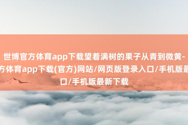 世博官方体育app下载望着满树的果子从青到微黄-世博官方体育app下载(官方)网站/网页版登录入口/手机版最新下载