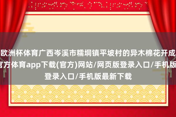 欧洲杯体育广西岑溪市糯垌镇平坡村的异木棉花开成海-世博官方体育app下载(官方)网站/网页版登录入口/手机版最新下载